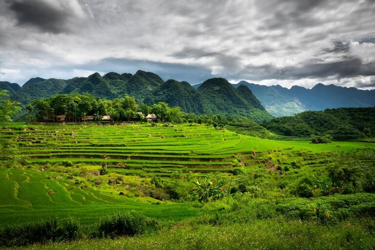 rizières de Pu Luong, Nord Vietnam