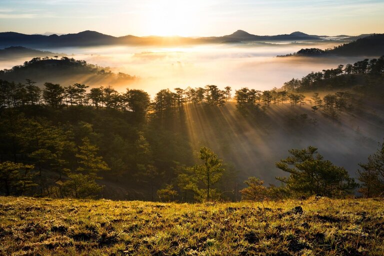 Golden Valley Da Lat