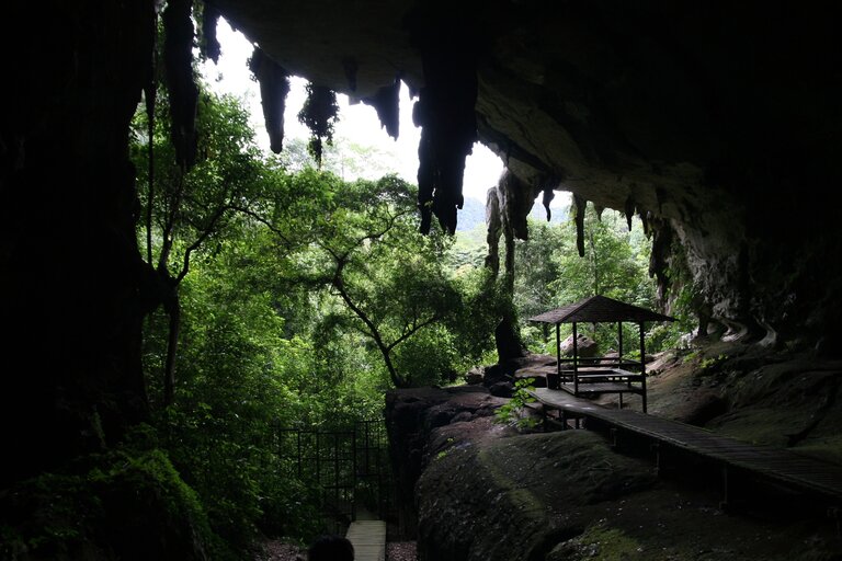 grottes de Niah Malaisie