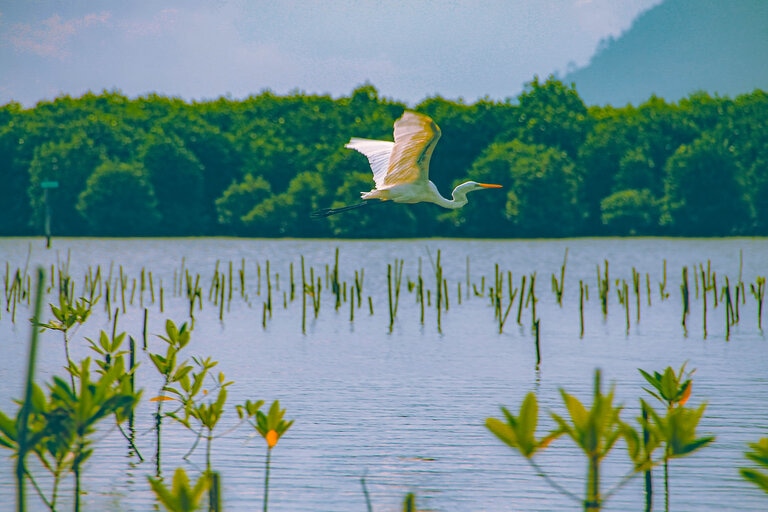 kampot cambodge