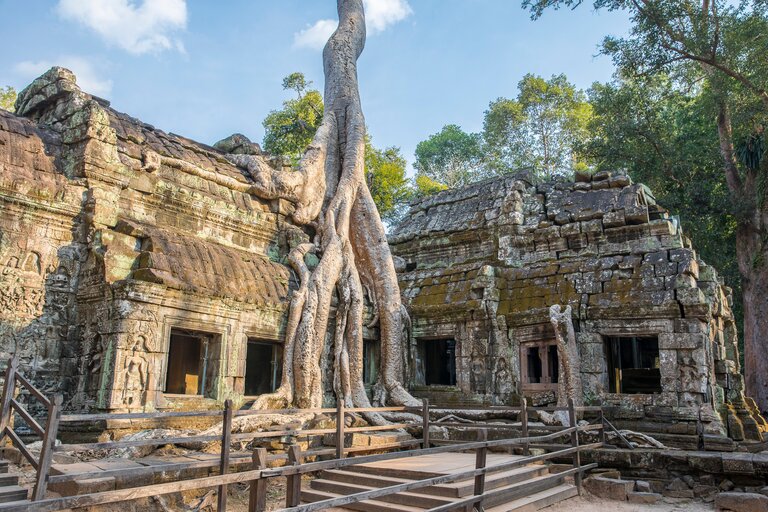 Ta Prohm cambodge