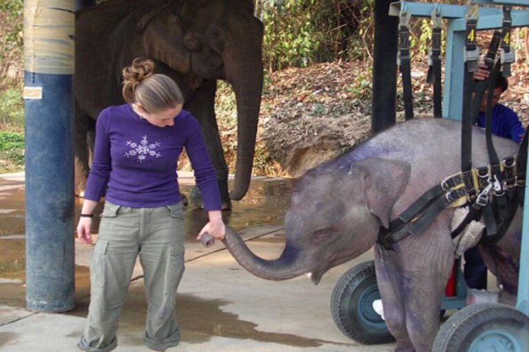 Boon Lott’s Elephant Sanctuary Thaïlande