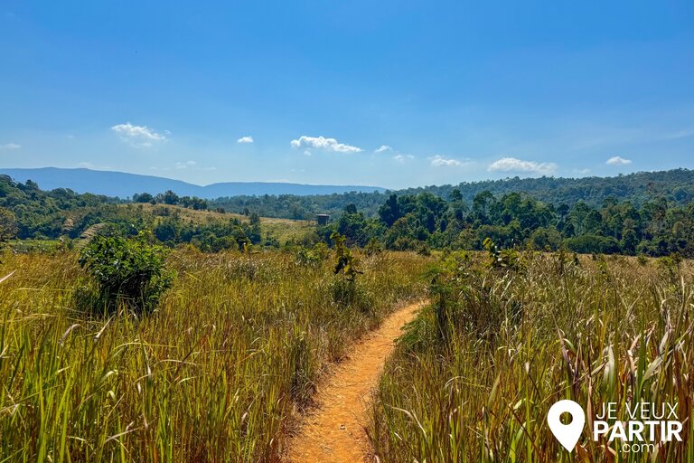 Parc national de Khao Yai thaïlande