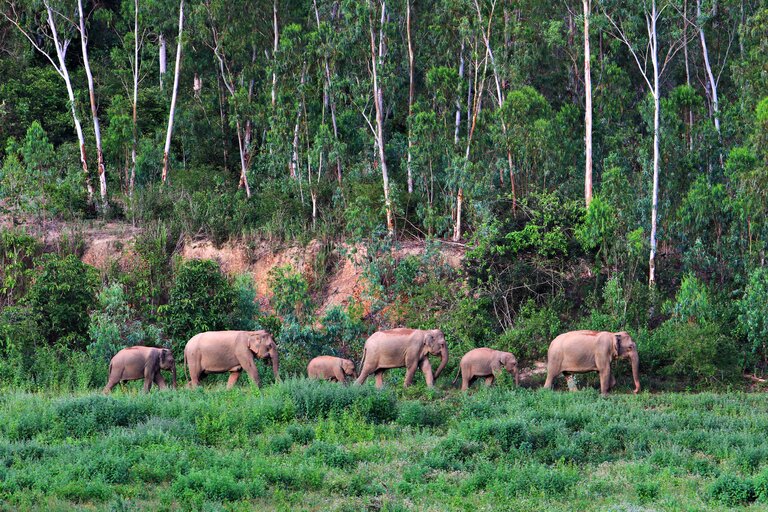 Parc national de Kui Buri thaïlande